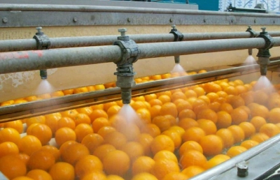 https://serviozono.com/wp-content/uploads/2024/05/Tratamientos-con-ozono-para-el-lavado-hortofruticola-en-la-postcosecha.webp
